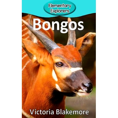 预订 Bongos: 9781947439931
