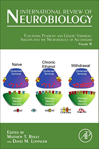 美国库房发货,通常付款后5-8周到货!