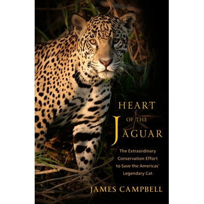 预订 Heart of the Jaguar: The Extraordinary Conservation Effort to Save the Americas’ Legendary Cat 美洲虎之心：拯救美