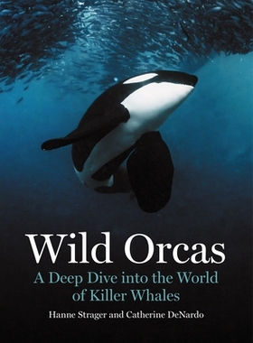 预订 Wild Orcas: A Deep Dive into the World of Killer Whales 野生虎鲸：深入探索杀人鲸的世界: 9780691269849