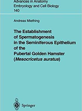 【预订】The Establishment of Spermatogenesis in the Seminiferous Epithelium of the Pubertal Go 9783540636557