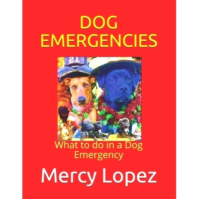 预订 Dog Emergencies: What to do in a Dog Emergency: 9780998041575