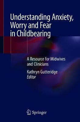 【预订】Understanding Anxiety, Worry and Fear in Childbearing 9783030210625