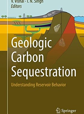【预订】Geologic Carbon Sequestration