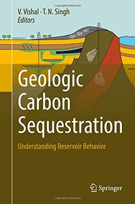 【预订】Geologic Carbon Sequestration