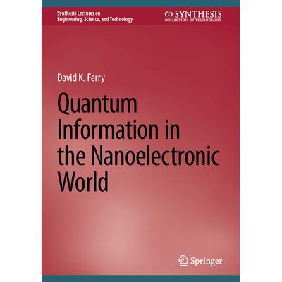 预订 Quantum Information in the Nanoelectronic World纳米电子世界的量子信息9783031629242