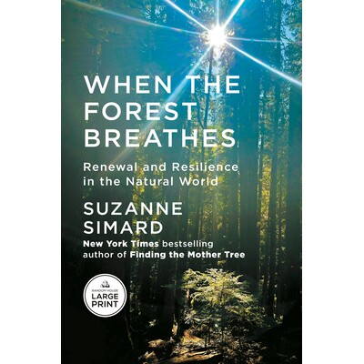 预订 当森林呼吸时 生态系统 栖息地 自然栖息地 英文版 When the Forest Breathes:9798217287833