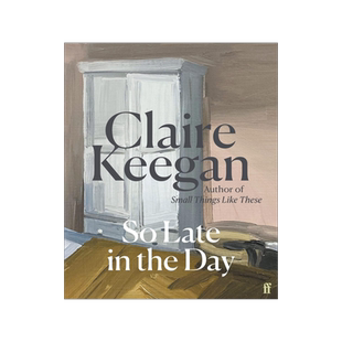 现货 克莱尔·吉根新作 这么晚了 So Late in the Day 像这样的小事作者 英文原版 精装小说 Claire Keegan