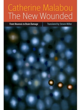 预订 The New Wounded: From Neurosis to Brain Damage 新创伤者：从神经官能症到大脑损伤（精装）（丛书）: 9780823239672