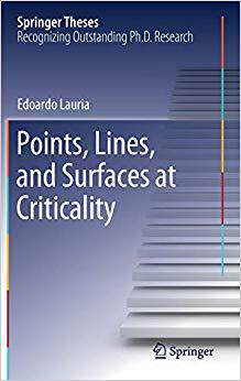 【预售】Points, Lines, and Surfaces at Criticality