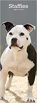 【预售】Staffies 2020 Slim Calendar
