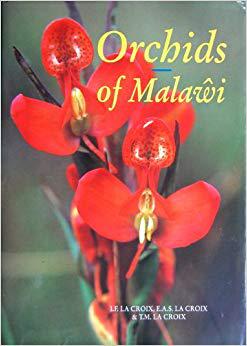 美国库房发货,通常付款后5-8周到货!