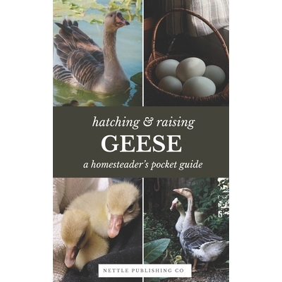 预订 Hatching & Raising Geese A Homesteader’s Pocket Guide: A Detailed Guide to Incubating, Hatching, and Raising Healt
