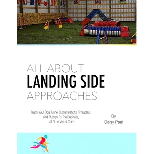 All Landing 预订 About 9781545371510 Side Approaches