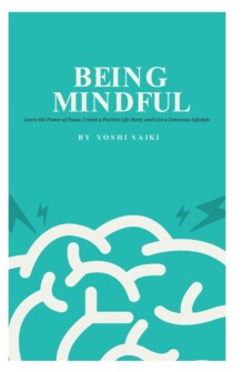 【预订】Being Mindful: Learn the Power of Pause, Create a Positive Life Stor 9798218137175