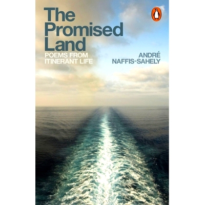 预订 The Promised Land: 9780141984933