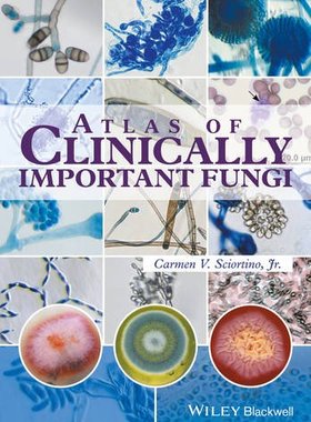 【预订】Atlas Of Clinically Important Fungi 9781119069669