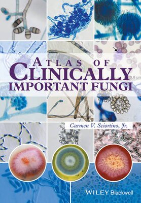 【预订】Atlas Of Clinically Important Fungi 9781119069669