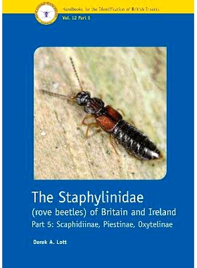 预订 The Staphylinidae (rove beetles) of Britain and Ireland Part 5: Scaphidiinae, Piestinae, Oxytelinae 英国和爱尔兰的