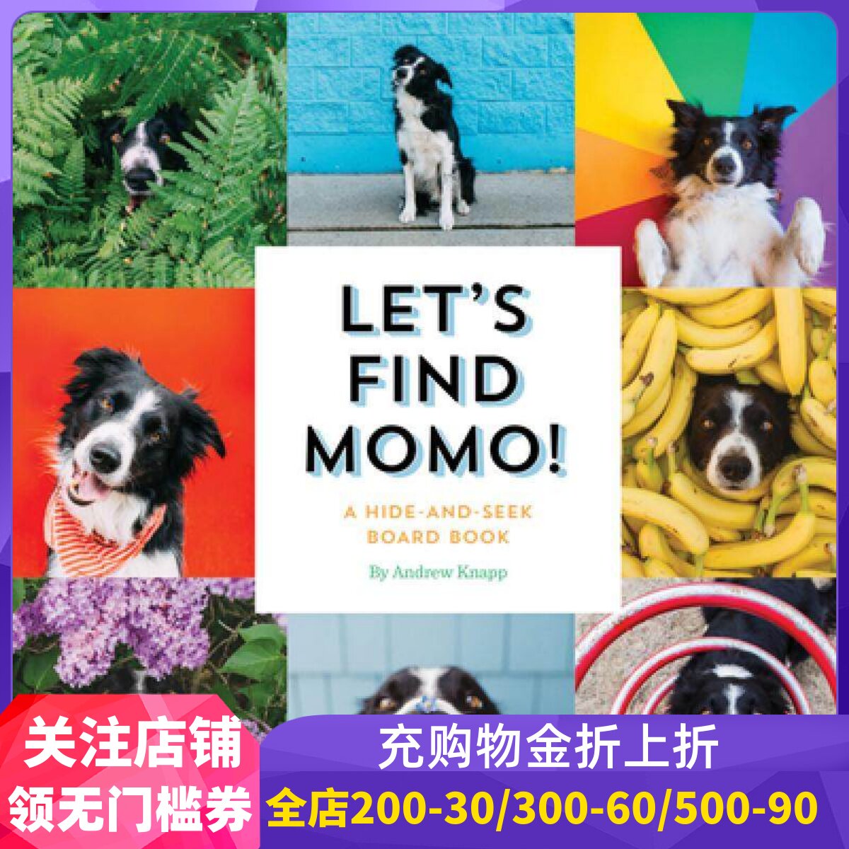 预售 寻找莫莫 英文原版 边牧 Andrew Knapp 狗狗摄影书 Let's Find Momo!: A Hide-and-Seek Board Book: 3 让我们找到莫莫