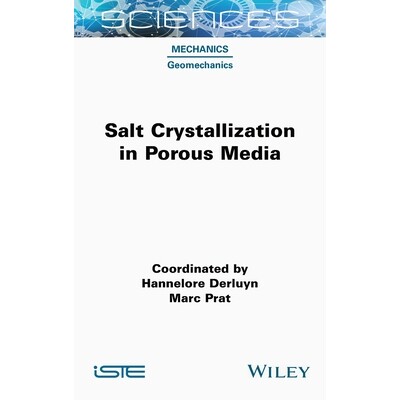 预订 Salt Crystallization in Porous Media 多孔介质盐结晶: 9781789451146