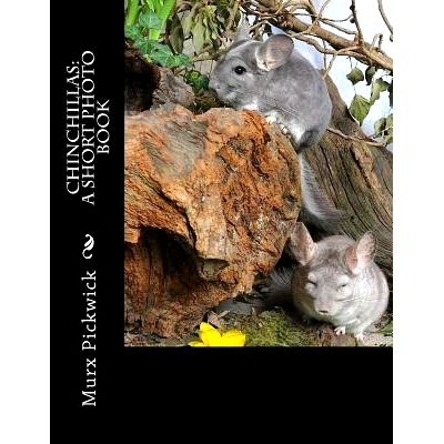 预订 Chinchillas: A Short Photo Book: 9781482392821