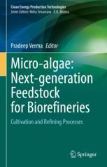 【预订】Micro-algae: Next-generation Feedstock for Biorefineries 9789811907920