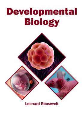 [预订]Developmental Biology 9781682865200