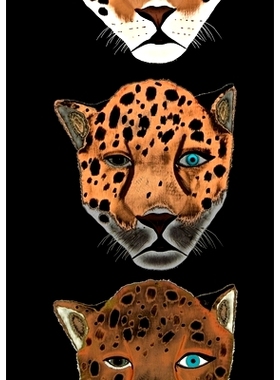 预订 My Week Book: Mijn Week boek- Mon livre de la Semaine- Mein Wochenbuch- Il mio libro della- Settimana- Mi libro de