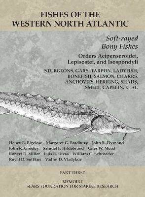 [预订]Soft-rayed Bony Fishes - Orders Acipenseroidei, L - Part 3 9781933789132