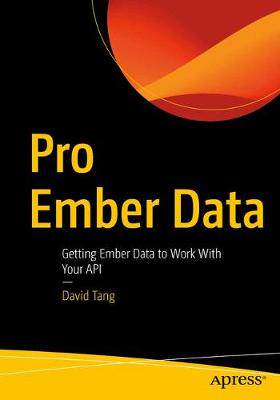 【预订】Pro Ember Data