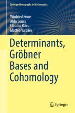 【预订】Determinants, Gröbner Bases and Cohomology 9783031054792