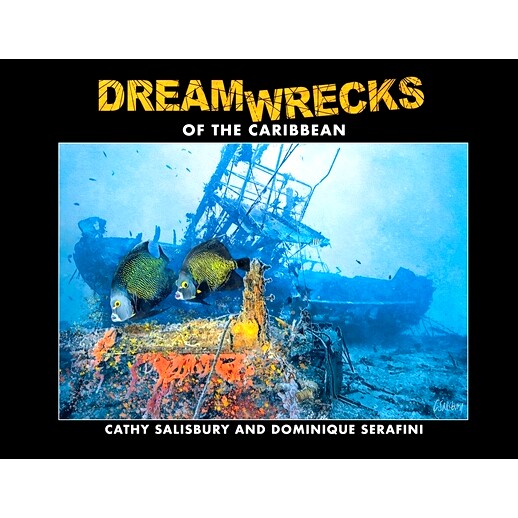 预订 DreamWrecks of the Caribbean: Diving the best shipwrecks of the region