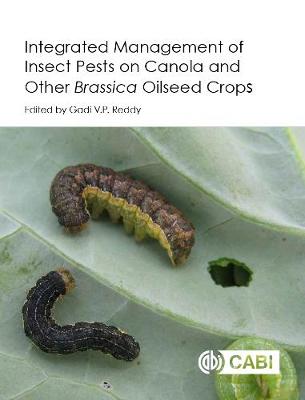 预订 Integrated management of Insect Pests on Canola and other Brassica Oilseed Crops-封面