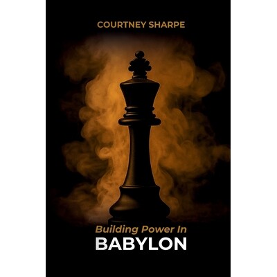 预订 Building Power In Babylon (Paperback) 9781964984650
