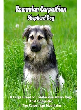 预订 Romanian Carpathian Shepherd Dog: A Large Breed of Livestock Guardian Dogs That Originated in The Carpathian Mounta