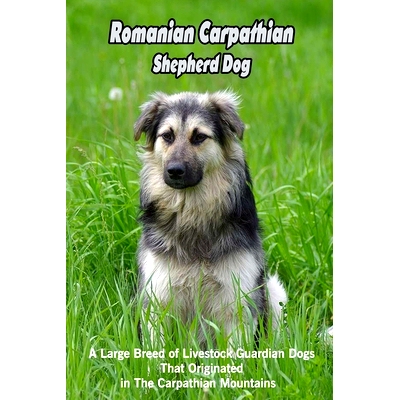 预订 Romanian Carpathian Shepherd Dog: A Large Breed of Livestock Guardian Dogs That Originated in The Carpathian Mounta