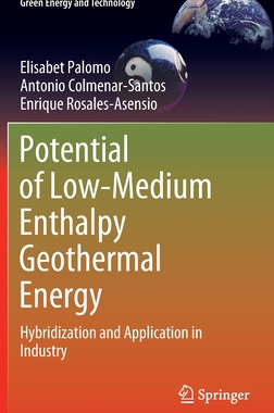 【预订】Potential of Low-Medium Enthalpy Geothermal Energy 9783030956257