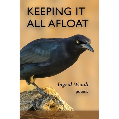 预订 Keeping It All Afloat 9781970256109