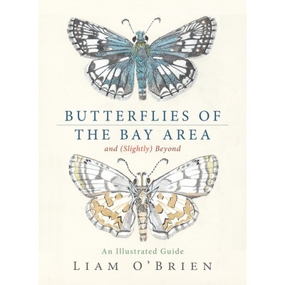 预订 Butterflies of the Bay Area and (Slightly) Beyond: An Illustrated Guide: 9781597146852