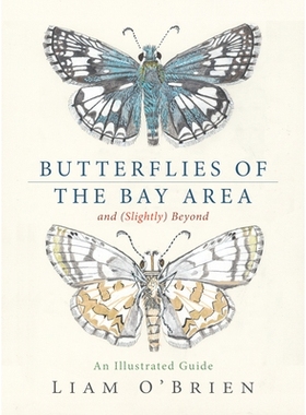 预订 Butterflies of the Bay Area and (Slightly) Beyond: An Illustrated Guide: 9781597146852
