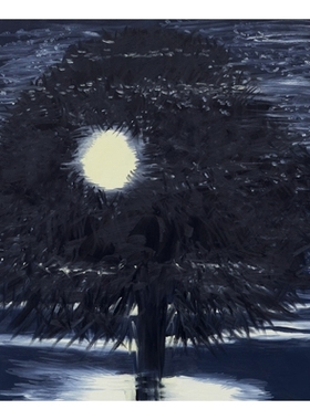 预订 Ann Craven : Night 安·克雷文：《夜》: 9781961883161