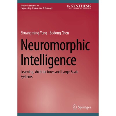 Learning, Architectures and Large-Scale