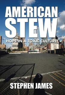 Culture 9781504933285 Hope Toxic Stew American 预订