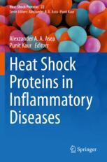 【预订】Heat Shock Proteins in Inflammatory Diseases 9783030851705
