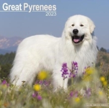 【预订】Great Pyrenees 2023 Wall Calendar 9781839417160