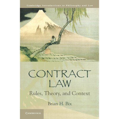Rules, Theory, and Context