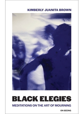 预订 Black Elegies 黑色挽歌：哀悼艺术的沉思: 9780262551724