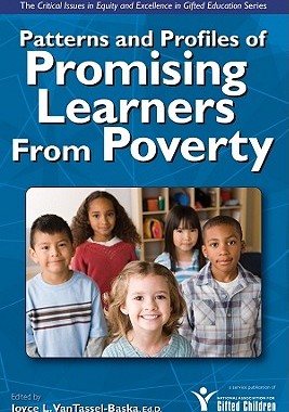 【预订】Patterns and Profiles of Promising Learners from Poverty