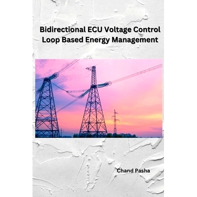 预订 Bidirectional ECU Voltage Control Loop Based Energy Management